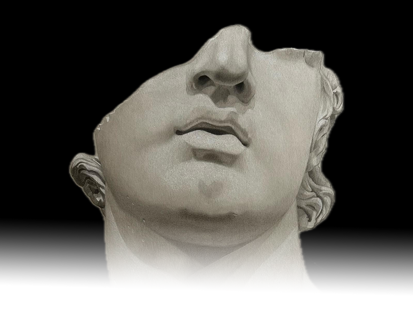 Fragmented Head Charcoal